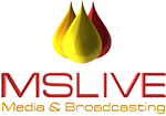 ms live digital marketing agency